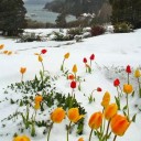 c3d764f1fae513340c914f69c9254662